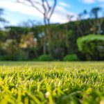How Often Should Commercial Landscaping Be Maintained?