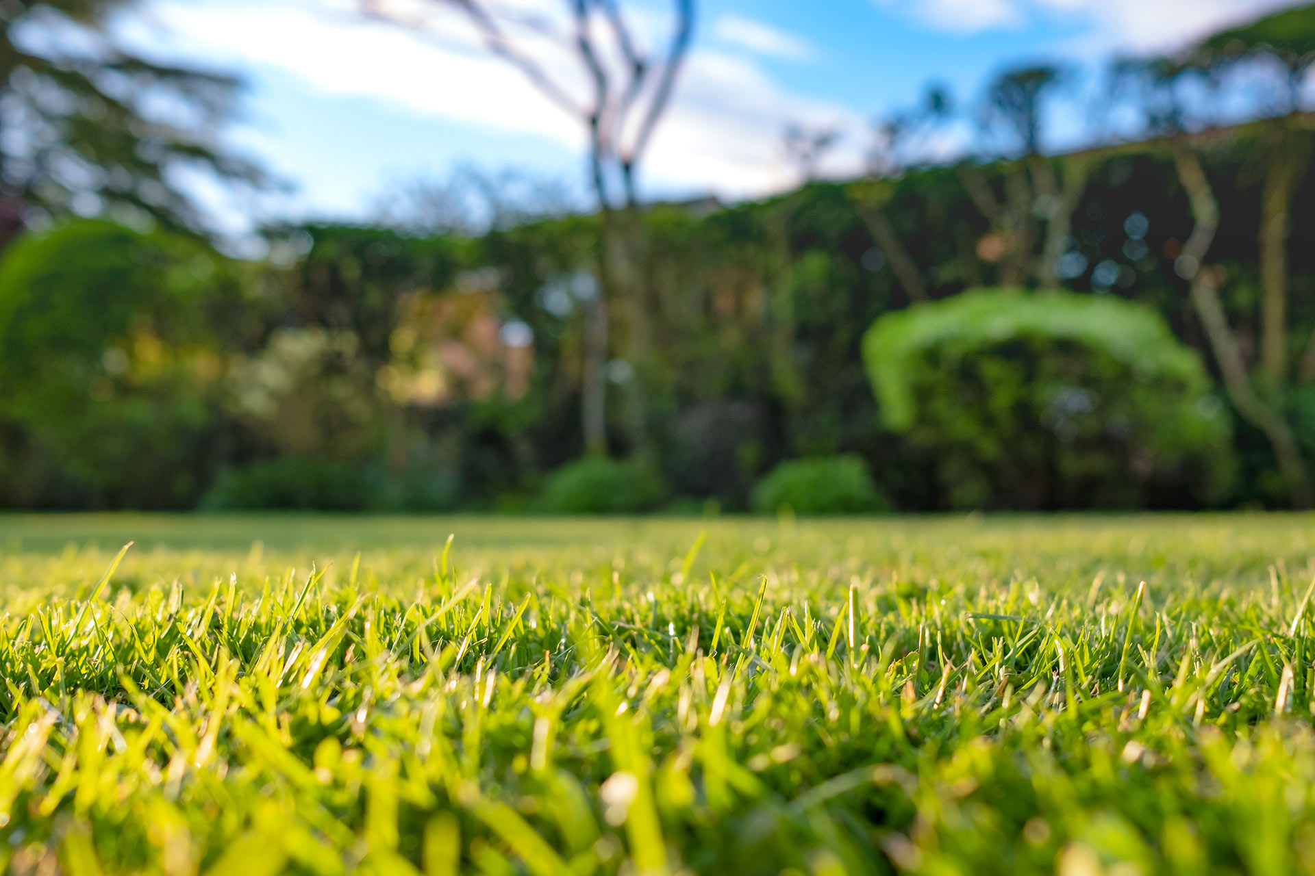 You are currently viewing How Often Should Commercial Landscaping Be Maintained?