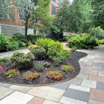 How Does Landscaping Improve Your Business Image?